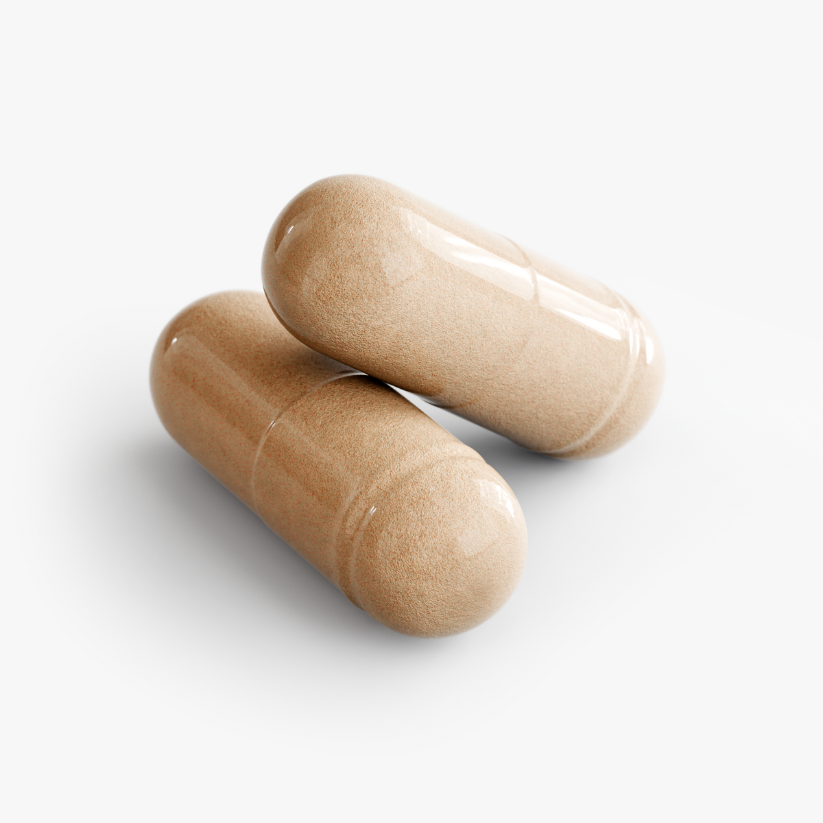 Ten mushroom species included in NutraWell Mushroom Complex 10 X