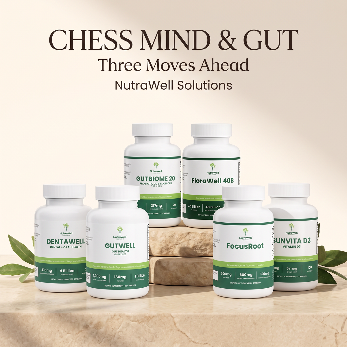 Chess Mind and Gut bundle, option B
